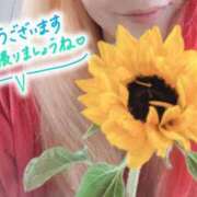 ヒメ日記 2025/06/06 04:15 投稿 ゆき なでしこ(十三)