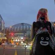 ヒメ日記 2025/06/12 12:22 投稿 ゆき なでしこ(十三)