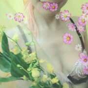 ヒメ日記 2025/06/13 17:29 投稿 ゆき なでしこ(十三)