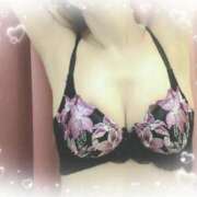 ヒメ日記 2025/07/25 17:40 投稿 ゆき なでしこ(十三)