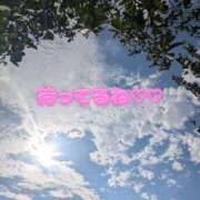 ヒメ日記 2025/07/26 17:58 投稿 ゆき なでしこ(十三)