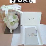 ヒメ日記 2025/07/30 21:30 投稿 ゆき なでしこ(十三)