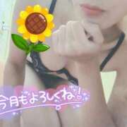 ヒメ日記 2025/08/01 17:26 投稿 ゆき なでしこ(十三)