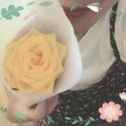 ヒメ日記 2025/08/07 20:51 投稿 ゆき なでしこ(十三)