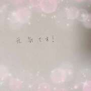 ヒメ日記 2025/09/03 17:12 投稿 ゆき なでしこ(十三)