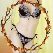 ヒメ日記 2025/09/27 00:19 投稿 ゆき なでしこ(十三)