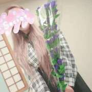 ヒメ日記 2025/10/06 20:53 投稿 ゆき なでしこ(十三)