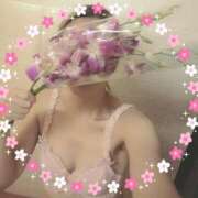 ヒメ日記 2025/10/27 21:04 投稿 ゆき なでしこ(十三)