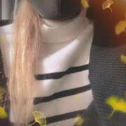 ヒメ日記 2025/10/28 09:50 投稿 ゆき なでしこ(十三)