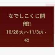 ヒメ日記 2025/10/28 11:43 投稿 ゆき なでしこ(十三)