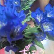 ヒメ日記 2025/11/06 05:15 投稿 ゆき なでしこ(十三)