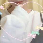 ヒメ日記 2025/11/11 11:09 投稿 ゆき なでしこ(十三)