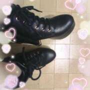 ヒメ日記 2025/11/14 09:05 投稿 ゆき なでしこ(十三)