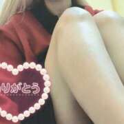 ヒメ日記 2025/12/01 11:16 投稿 ゆき なでしこ(十三)