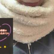 ヒメ日記 2025/12/16 18:31 投稿 ゆき なでしこ(十三)