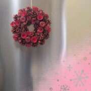 ヒメ日記 2025/12/18 11:15 投稿 ゆき なでしこ(十三)