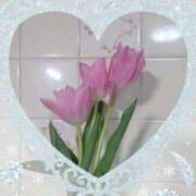 ヒメ日記 2025/12/29 04:27 投稿 ゆき なでしこ(十三)