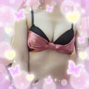 ヒメ日記 2026/02/10 14:58 投稿 ゆき なでしこ(十三)