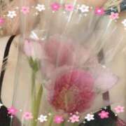 ヒメ日記 2026/02/10 19:37 投稿 ゆき なでしこ(十三)