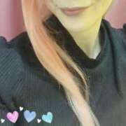 ヒメ日記 2026/02/13 11:26 投稿 ゆき なでしこ(十三)