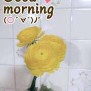 ヒメ日記 2026/02/20 04:36 投稿 ゆき なでしこ(十三)