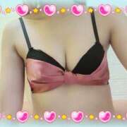 ヒメ日記 2026/03/13 11:19 投稿 ゆき なでしこ(十三)