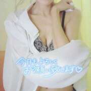 ヒメ日記 2026/04/02 17:44 投稿 ゆき なでしこ(十三)