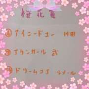 ヒメ日記 2026/04/12 15:03 投稿 ゆき なでしこ(十三)