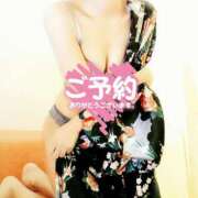 ヒメ日記 2026/04/12 15:12 投稿 ゆき なでしこ(十三)