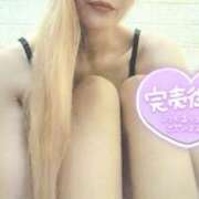 ヒメ日記 2026/04/14 11:21 投稿 ゆき なでしこ(十三)