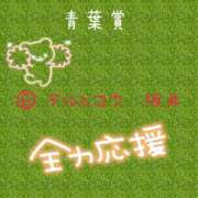 ゆき あおばしょー♪ なでしこ(十三)