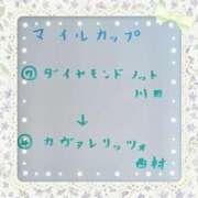 ヒメ日記 2026/05/10 15:13 投稿 ゆき なでしこ(十三)