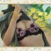 ヒメ日記 2026/05/26 22:33 投稿 ゆき なでしこ(十三)