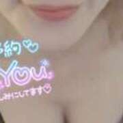 ヒメ日記 2026/05/28 09:06 投稿 ゆき なでしこ(十三)