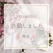 ヒメ日記 2025/03/31 08:49 投稿 琴音 Versailles