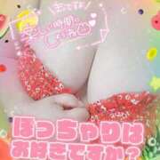 ヒメ日記 2025/12/23 11:52 投稿 れいか 香川サンキュー