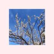 ヒメ日記 2025/02/19 09:02 投稿 森下恭子 お色気物語（横浜ハレ系）