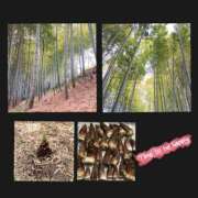 ヒメ日記 2025/04/20 08:37 投稿 森下恭子 お色気物語（横浜ハレ系）