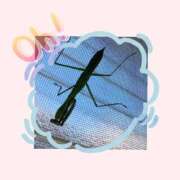 ヒメ日記 2025/07/28 08:46 投稿 森下恭子 お色気物語（横浜ハレ系）