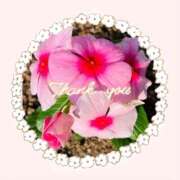 ヒメ日記 2025/09/14 09:23 投稿 森下恭子 お色気物語（横浜ハレ系）