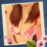 ヒメ日記 2025/08/14 11:43 投稿 立花　きょう La elf（ラ・エルフ）