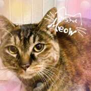 ヒメ日記 2024/12/29 21:12 投稿 結城　みなみ La elf（ラ・エルフ）