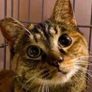 ヒメ日記 2025/12/21 08:23 投稿 結城　みなみ La elf（ラ・エルフ）