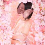 ヒメ日記 2025/03/05 17:53 投稿 こゆき SOPHIA（ソフィア）