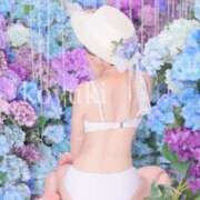 ヒメ日記 2025/06/25 13:43 投稿 こゆき SOPHIA（ソフィア）