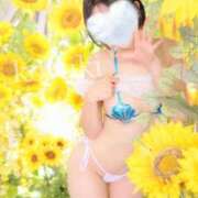 ヒメ日記 2025/07/14 23:33 投稿 こゆき SOPHIA（ソフィア）