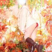 ヒメ日記 2025/10/18 11:23 投稿 こゆき SOPHIA（ソフィア）