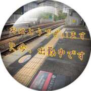 ヒメ日記 2025/05/14 10:45 投稿 上原さつき ミセス大阪日本橋店