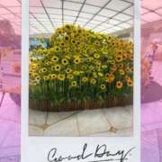 ヒメ日記 2025/07/22 10:52 投稿 上原さつき ミセス大阪日本橋店