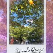 ヒメ日記 2025/07/29 10:31 投稿 上原さつき ミセス大阪日本橋店